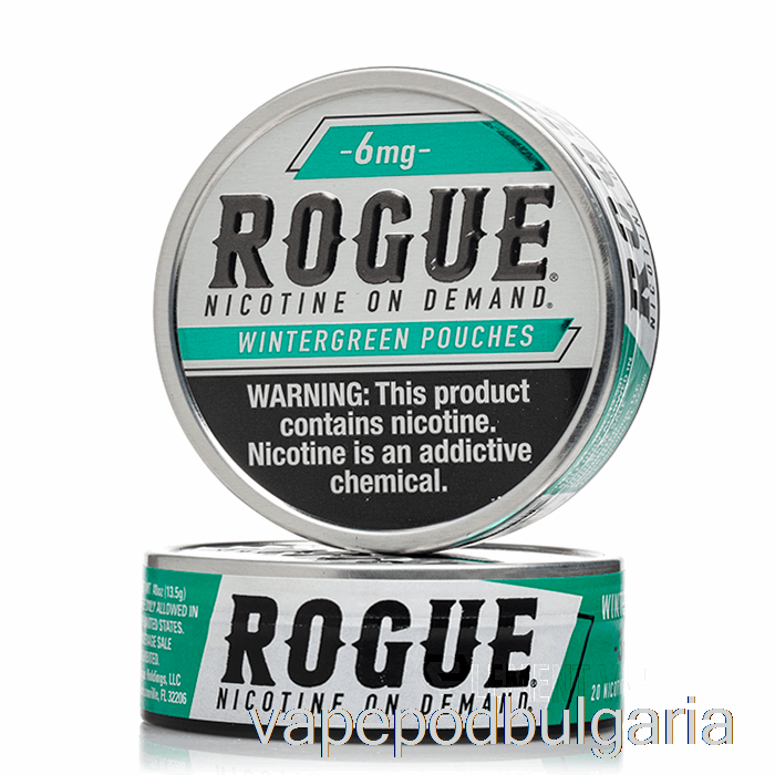 Vape 10000 Дръпки Rogue Nicotine Pouches - Wintergreen 6mg (5-pack)